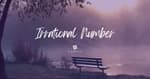Irrational Number