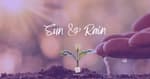 Sun and Rain [RE-POST 2025]