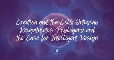 Creation & the Cell: Ontogeny Recapitulates Phylogeny & the Scientific Case for Intelligent Design