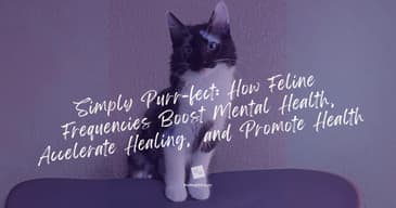 Simply Purr-fect: How Feline Frequencies Boost Mental Health, Accelerate Healing, &amp; Promote Health