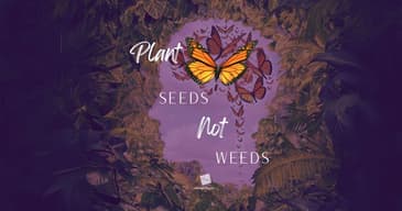 Seeds and Weeds [2025 Re-Post]