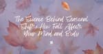 The Science Behind Seasonal Shifts: How Fall Affects Your Mind and Body