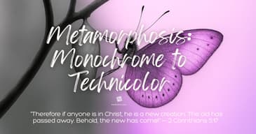Metamorphosis: Monochrome to Technicolor