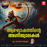 ആഘോഷത്തിന്റെ അഗ്നിജ്വാലകൾ