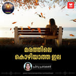 മരത്തിലെ കൊഴിയാത്ത ഇല | The Unfalling Leaf: A Story of Hope and Healing