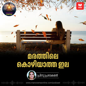 മരത്തിലെ കൊഴിയാത്ത ഇല | The Unfalling Leaf: A Story of Hope and Healing