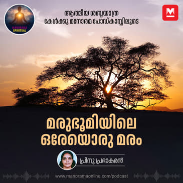 മരുഭൂമിയിലെ ഒരേയൊരു മരം | The Powerful Symbol of Resilience and Hope