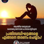പ്രതിസന്ധിഘട്ടങ്ങളെ എങ്ങനെ തരണം ചെയ്യാം?