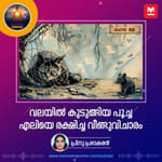 വലയിൽ കുടുങ്ങിയ പൂച്ച; എലിയെ രക്ഷിച്ച വീണ്ടുവിചാരം