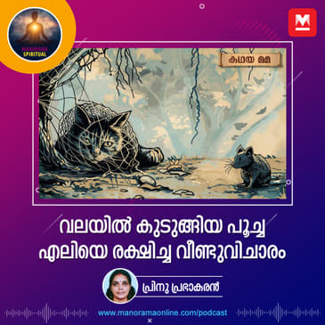 വലയിൽ കുടുങ്ങിയ പൂച്ച; എലിയെ രക്ഷിച്ച വീണ്ടുവിചാരം