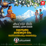 കൊഴുക്കട്ട കായ്ക്കുന്ന മരം