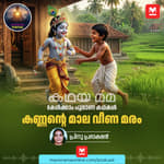 കണ്ണന്റെ മാല വീണ മരം