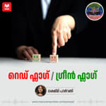 റെഡ് ഫ്ലാഗ് / ഗ്രീൻ ഫ്ലാഗ്