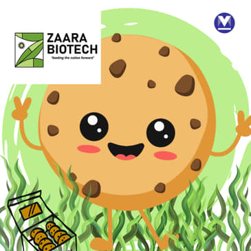 From algae to edible snacks | Zaara Biotech
