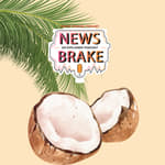 From price boom to dip: Cracking Kerala's coconut conundrum | Ep 167