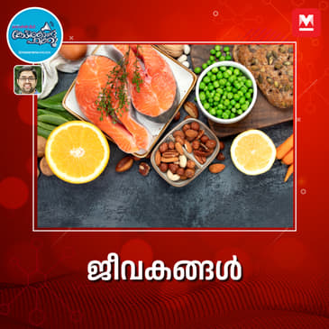 ജീവകങ്ങൾ അഥവാ വിറ്റാമിനുകൾ