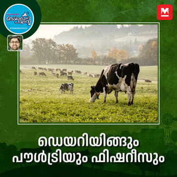 ഡെയറിയിങ്ങും പൗൾട്രിയും ഫിഷറീസും