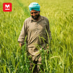 അടുത്തറിയാം പഞ്ചനദികളുടെ നാടായ പഞ്ചാബിനെ