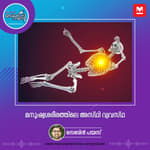 മനുഷ്യശരീരത്തിലെ അസ്ഥി വ്യവസ്ഥ