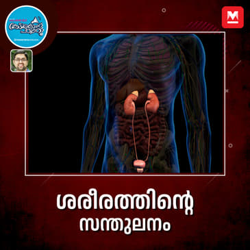 ശരീരത്തിന്റെ സന്തുലനം