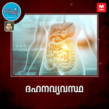 ദഹനവ്യവസ്ഥ ഒറ്റ നോട്ടത്തിൽ