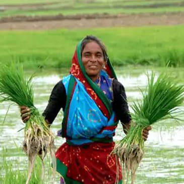 ഭക്ഷ്യസുരക്ഷാ നിയമം ആദ്യമായി പാസാക്കിയ സംസ്ഥാനം?