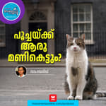 ഏത് ജനറേഷനും ആരാധനയോടെ ബഹുമാനിക്കുന്ന ജീവി - Poocha Sir | Curious Cat Behaviours | Cat Facts