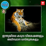 ഇന്ത്യയിലെ കടുവ വിശേഷങ്ങളും അടിസ്ഥാന വസ്തുതകളും