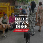 SC orders removal of stray animals from national highways – What is the order all about?