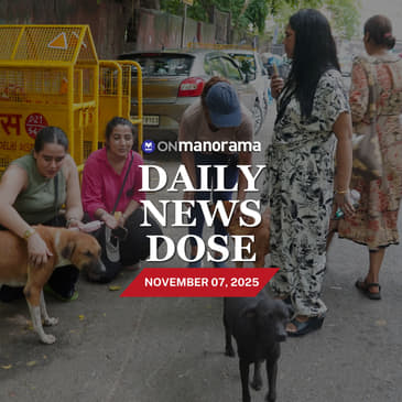 SC orders removal of stray animals from national highways – What is the order all about?