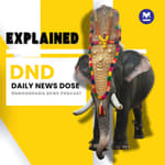 Kerala High Court Set to Redefine Elephants’ Role in Festival