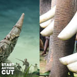 Poacher: The real vs the cinematic - journalist who broke the news analyses missing links