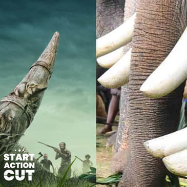 Poacher: The real vs the cinematic - journalist who broke the news analyses missing links