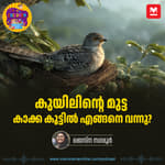 കുയിലിന്റെ മുട്ട കാക്ക കൂട്ടിൽ എങ്ങനെ വന്നു? - | Animation Story for Kids | Manorama Podcast | Manorama Online