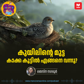 കുയിലിന്റെ മുട്ട കാക്ക കൂട്ടിൽ എങ്ങനെ വന്നു? - | Animation Story for Kids | Manorama Podcast | Manorama Online