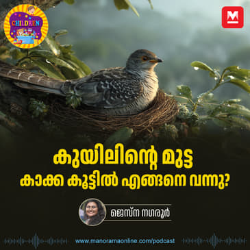 കുയിലിന്റെ മുട്ട കാക്ക കൂട്ടിൽ എങ്ങനെ വന്നു? - | Animation Story for Kids | Manorama Podcast | Manorama Online