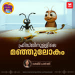 ക്രോക്കു എന്ന കുട്ടിപ്പാറ്റയുടെ ഫ്രിഡ്ജിനുള്ളിലെ മഞ്ഞുലോകം | Malayalam Story for Kids | MKid | Bedtime story | Crocku Cockroach