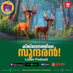 കിങ്കിലവനത്തിലെ സുന്ദരൻ!| MKid | Podcast | Deer ​| Bedtime story