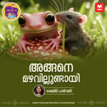 അങ്ങനെ മഴവില്ലുണ്ടായി | Bedtime Story for Kids