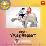 ആന വീട്ടുമുറ്റത്തുതന്നെ