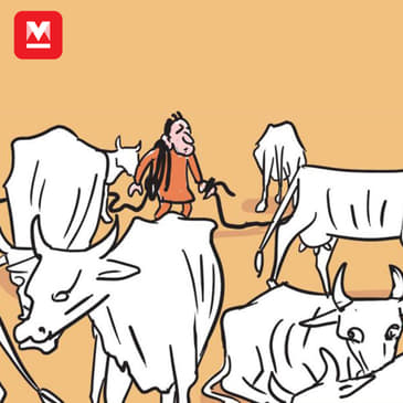 പശുപാലനം കർശനമാക്കിയത് തിരിച്ചടിക്കുമോ എന്ന പേടിയിൽ ബിജെപി; വോട്ട് തിന്നുമോ പശു?