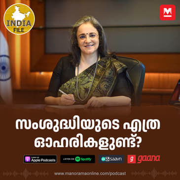 സംശുദ്ധിയുടെ എത്ര ഓഹരികളുണ്ട്?