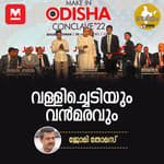 വള്ളിച്ചെടിയും വൻമരവും