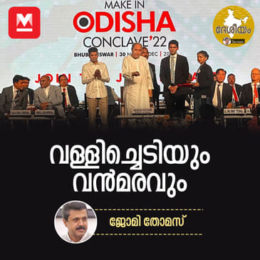 വള്ളിച്ചെടിയും വൻമരവും