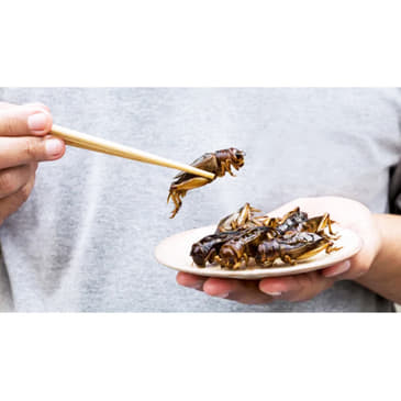 Ask Charlie Anything 120: Men in Makeup? The Great Reset Bug Diet? Should Conservative Take the Student Loan Bribe? Leftist DVEs Break Up TPUSA Event at UNM?