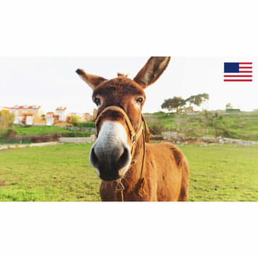 Ask Charlie Anything 205: Underestimating Democrats? Living in Small Towns? Fighting Fraud in PA?