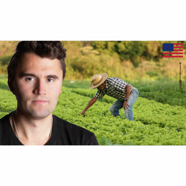 Mass Amnesty v. Mass Deportations