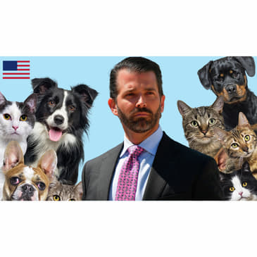 Cats and Dogs, Living Together! (On A Dinner Plate) ft. Donald Trump Jr.