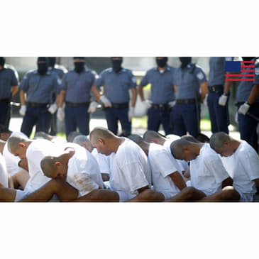 The “Maryland Dad” Hoax + Austin Metcalf Updates