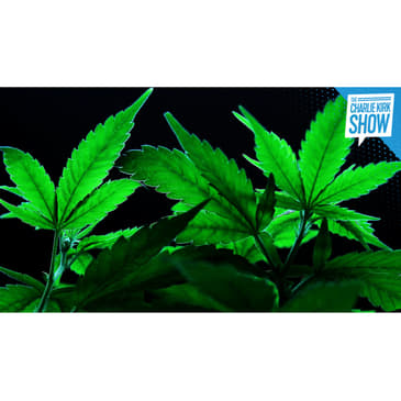 Marijuana and Mass Psychosis—A Contrarian Take with Alex Berenson